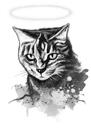 Portret de pierdere a pisicii - Desen de pisică în acuarelă cu Halo