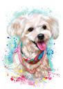 Doğal Renklendirmedeki Fotoğraflardan Suluboya Bichon Oyuncak Köpek Portresi