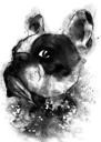 Ranskalainen bulldogkarikatyyri muotokuva sarjakuva pää ja hartiat musta lyijy vesiväri tyyliin