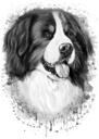 Portret de câine de munte bernez din grafit în stil acuarelă