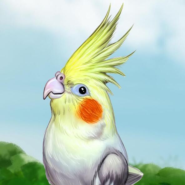 Карикатура на попугая