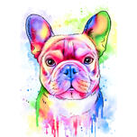 Bulldog Francés Retrato Pastel Acuarela