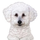 Custom Dog Cartoon Portrait