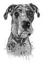 Retrato de Dogue Alemão com cabeça e ombros em estilo aquarela em tons de cinza