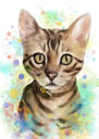 Pozoruhodný kreslený portrét kočky z fotografií v barevném stylu