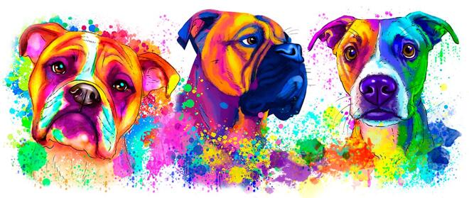 Boxer Karikatuur