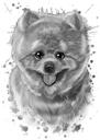 Карикатурный портрет поморской собаки в стиле акварельного графита