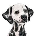 Dalmatian Caricature