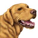 Labrador Cartoon Portrait