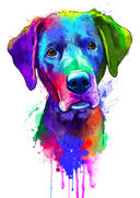 Lustiger+Hund+im+Hut-Karikatur-Portr%C3%A4t+im+Regenbogen-Aquarell-Stil+von+Hand+gezeichnet+nach+Foto