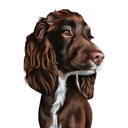 Portret de desene animate spaniel