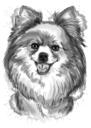 Retrato de dibujos animados de perro Pomerania en estilo de grafito de acuarela