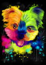 Retrato de perro arco iris sobre fondo negro