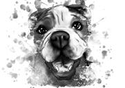 Pictură portret câine din grafit