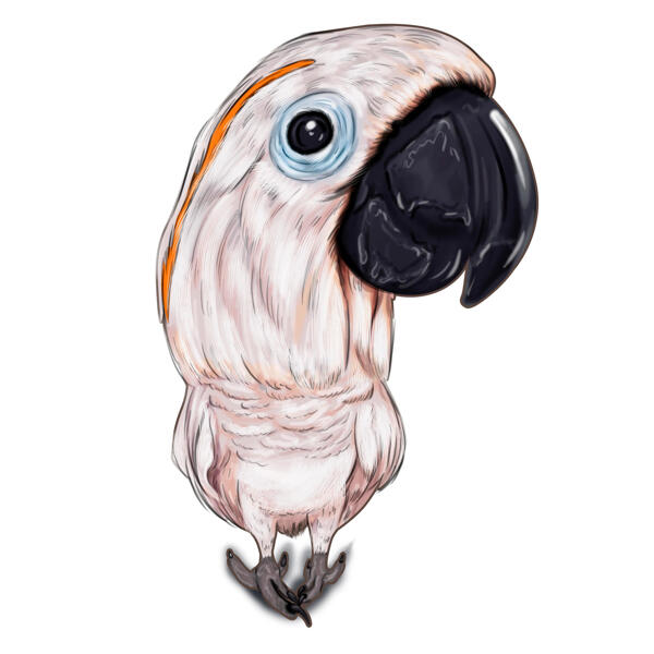 Vogel-Karikatur aus handgezeichneten Fotos im Ganzkörper-Farbstil