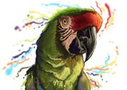 Акварельный портрет попугая ара