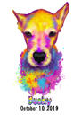 Rainbow Dog porträtt med år av liv