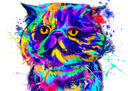 Portrait+aquarelle+de+chat+arc-en-ciel