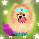 Karikatura pomeranianského psa velikosti hračky z fotografie s barevným pozadím pro milovníky špiců dárek