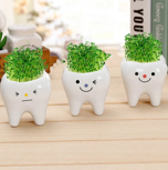2. Teeth Planter Pots-0