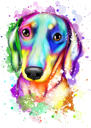 Retrato de perro salchicha arco iris