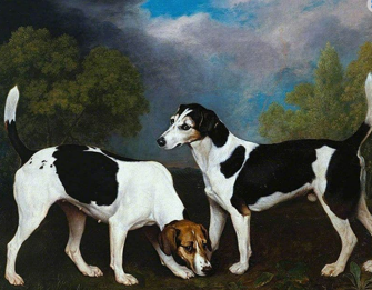 7. "زوجان من كلاب الصيد" (1792) لجورج ستابس-0