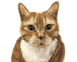 Портрет кошки с естественными пропорциями тела