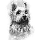 Yorkshire Terrier tecknad porträttmålning från foton i grafitstil