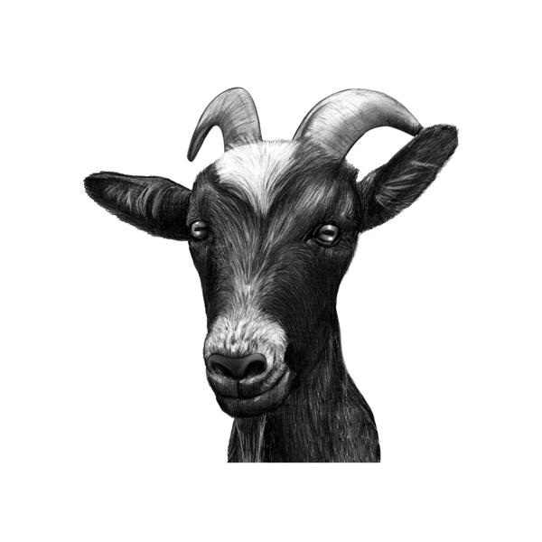 Zwart-witte geit tekening