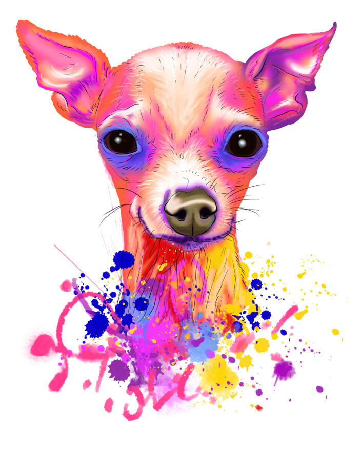 Como Pintar Un Perro Chihuahua En Acuarela Hola Soy Kurisu Ilustración Y  Diseño Gráfico 