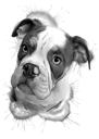 Akvarel Gråskala Boxerportræt fra fotos til Pet Lover Gift