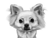 Pää ja hartiat Chihuahua sarjakuva muotokuva mustavalkoisena