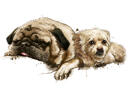 Mixed+Breed+Dogs+Watercolor+Style+Caricature+Portrait+from+Photos+on+Blue+Background