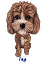 Miniature Toy Poodle Full Body Cartoon from Photos for Custom Gift