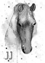 Portrait de cheval à l'aquarelle graphite