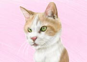 Renkli Kedi Karikatürü