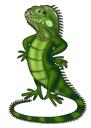Reptile Cartoon Portrait Hand Drawn from Photo in Colored Digital Style