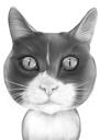Portrét koček z fotografií v černobílém stylu