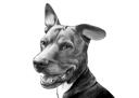 Custom+Canine+Caricature+-+Watercolor+Mixed+Dog+Breed+Portrait+in+Black+and+White+Style