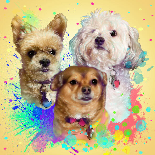 Pet Portrait