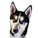 Caricatura di un husky