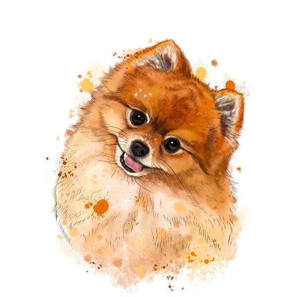 Pomeranian Spitz Portrait in Natural Watercolors from Photos