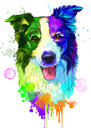 Australian Shepherd Caricature Portrait in Watercolor Style with One Color Background