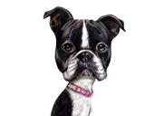 Evcil Hayvan Severler için Renkli Stildeki Fotoğraflardan Fransız Bulldog Karikatür Portresi