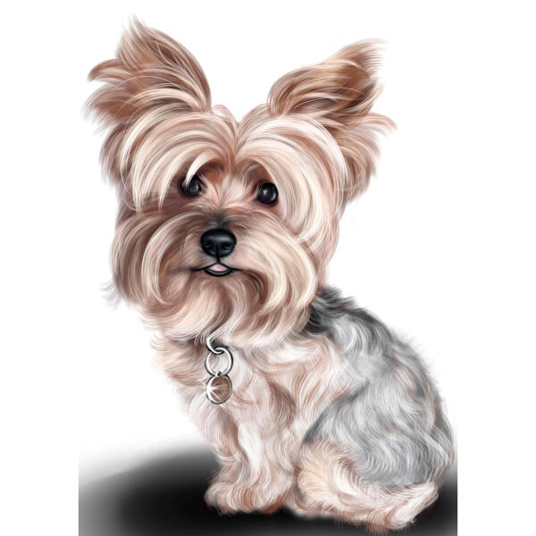 Yorkshire Terrier Caricature Portrait in Full Body Colored Style from Photo