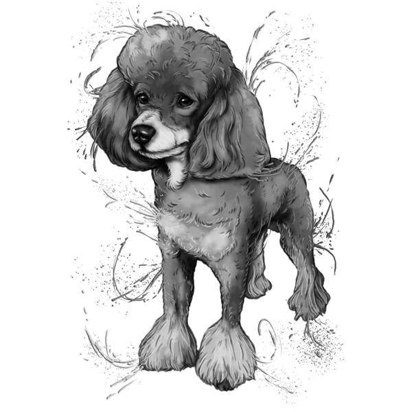 Full Body Poodle Grayscale Portrait