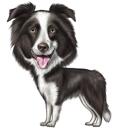 Full Body Collie Drawing