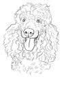Outline Dog Custom Sketch Portrait