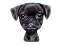 German+Shepherd+Caricature+Portrait+in+Black+and+White+Style