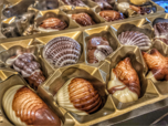 2. Belgische Schokoladenmuscheln von Guylian-0